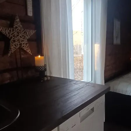 Vila Pine Forest Log House *